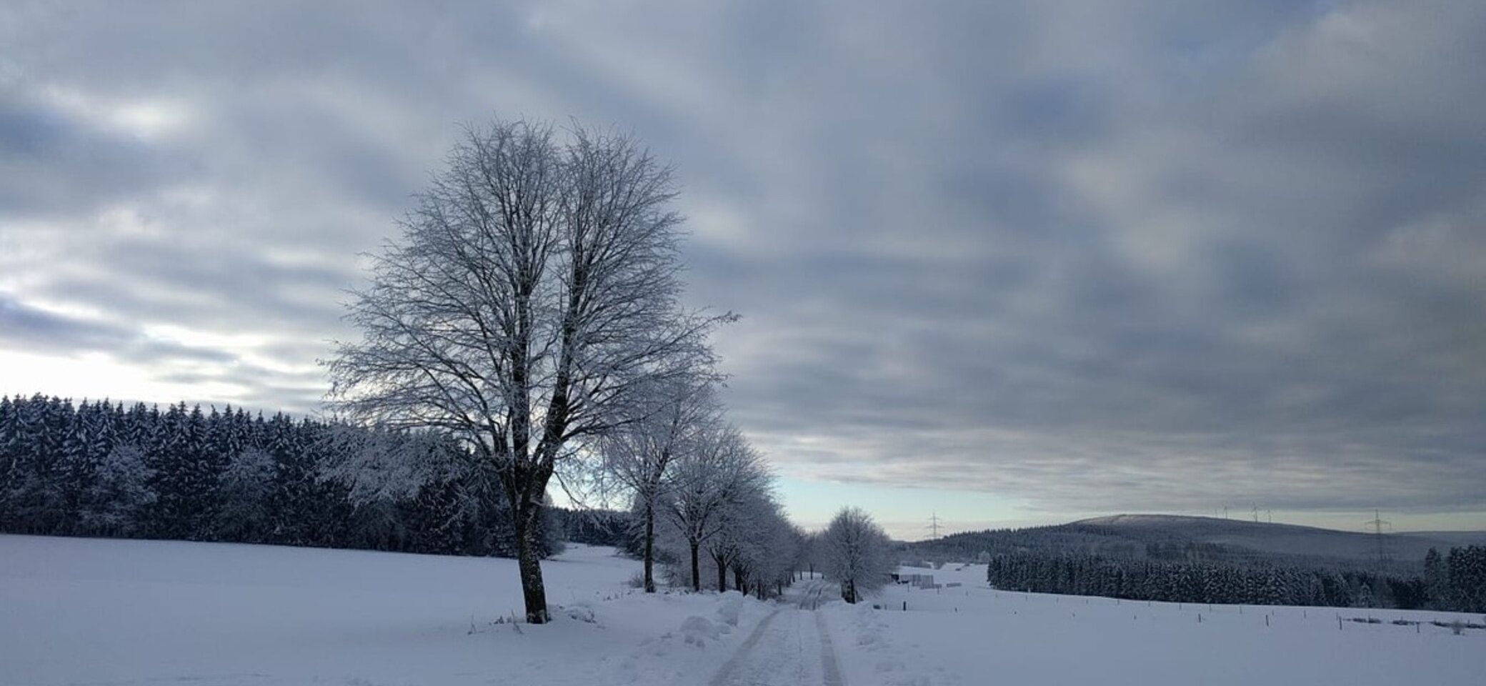 © Bärbel Richter