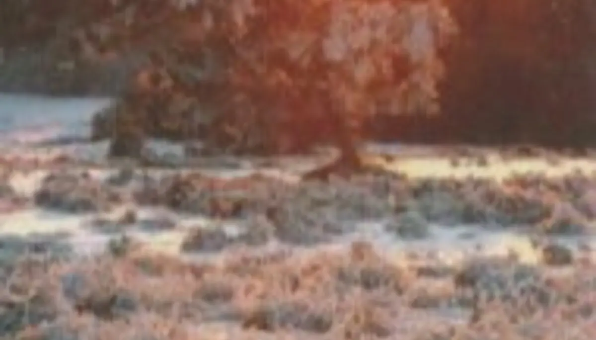 © DAV Sektion Bergfreunde Saar e.V.